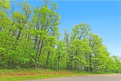 Discover 1.6 acres of serene, wooded land with no builder on Maddens on Gull Lake - The Classic at Maddens in Minnesota - for sale on GolfHomes.com, golf home, golf lot