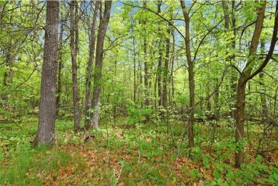 Discover 1.6 acres of serene, wooded land with no builder on Maddens on Gull Lake - The Classic at Maddens in Minnesota - for sale on GolfHomes.com, golf home, golf lot