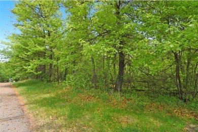 Discover 1.6 acres of serene, wooded land with no builder on Maddens on Gull Lake - The Classic at Maddens in Minnesota - for sale on GolfHomes.com, golf home, golf lot