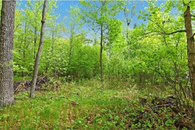Discover 1.6 acres of serene, wooded land with no builder on Maddens on Gull Lake - The Classic at Maddens in Minnesota - for sale on GolfHomes.com, golf home, golf lot