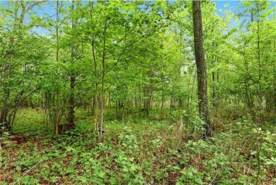Discover 1.6 acres of serene, wooded land with no builder on Maddens on Gull Lake - The Classic at Maddens in Minnesota - for sale on GolfHomes.com, golf home, golf lot