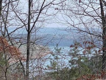 Build your lake home on two lake view lots in a very nice, quiet on Indian Hills Country Club in Arkansas - for sale on GolfHomes.com, golf home, golf lot