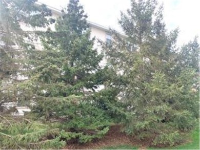 Multi-level walkout townhome w/ mature pine tree privacy. Three on Deer Run Golf Club in Minnesota - for sale on GolfHomes.com, golf home, golf lot