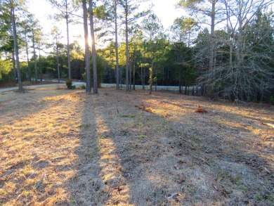 If you are ALL ABOUT THE VIEW, this 1-acre lake lot offers an on The Links At Stoney Point in South Carolina - for sale on GolfHomes.com, golf home, golf lot