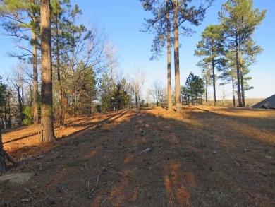 If you are ALL ABOUT THE VIEW, this 1-acre lake lot offers an on The Links At Stoney Point in South Carolina - for sale on GolfHomes.com, golf home, golf lot