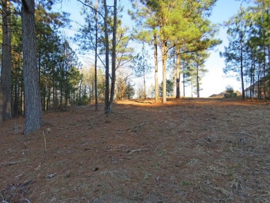 If you are ALL ABOUT THE VIEW, this 1-acre lake lot offers an on The Links At Stoney Point in South Carolina - for sale on GolfHomes.com, golf home, golf lot