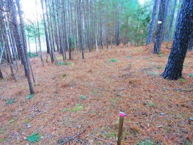 If you are ALL ABOUT THE VIEW, this 1-acre lake lot offers an on The Links At Stoney Point in South Carolina - for sale on GolfHomes.com, golf home, golf lot