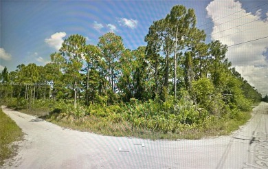 COME BUILD YOYR DREAM HOME ON THIS CORNER LOT WITH ALMOST 1 ACRE on Island Pines Golf Club in Florida - for sale on GolfHomes.com, golf home, golf lot