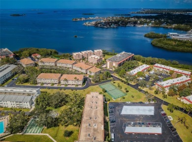 This 2-bedroom, 1.5-bath condo comes fully furnished and on The Dunedin Country Club in Florida - for sale on GolfHomes.com, golf home, golf lot