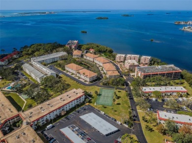 This 2-bedroom, 1.5-bath condo comes fully furnished and on The Dunedin Country Club in Florida - for sale on GolfHomes.com, golf home, golf lot