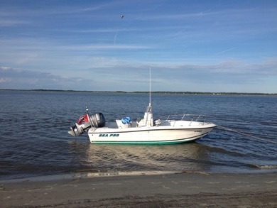 Discover the ultimate coastal retreat in this stunning custom on The Plantation Course At Edisto in South Carolina - for sale on GolfHomes.com, golf home, golf lot