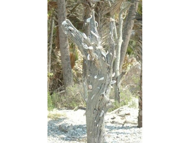 Discover the ultimate coastal retreat in this stunning custom on The Plantation Course At Edisto in South Carolina - for sale on GolfHomes.com, golf home, golf lot