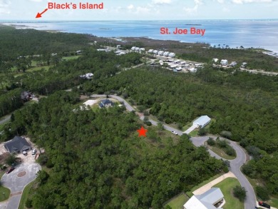Build your dream home on this shovel ready premium lot in The on Saint Josephs Bay Country Club in Florida - for sale on GolfHomes.com, golf home, golf lot