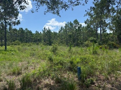 Build your dream home on this shovel ready premium lot in The on Saint Josephs Bay Country Club in Florida - for sale on GolfHomes.com, golf home, golf lot