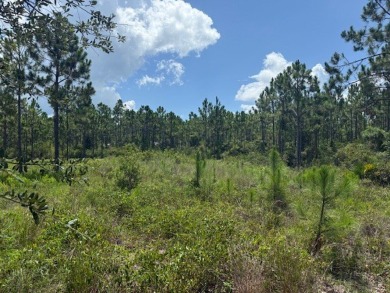 Build your dream home on this shovel ready premium lot in The on Saint Josephs Bay Country Club in Florida - for sale on GolfHomes.com, golf home, golf lot