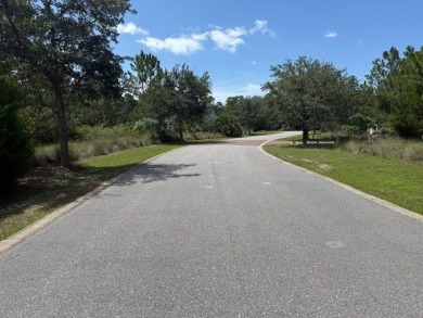 Build your dream home on this shovel ready premium lot in The on Saint Josephs Bay Country Club in Florida - for sale on GolfHomes.com, golf home, golf lot