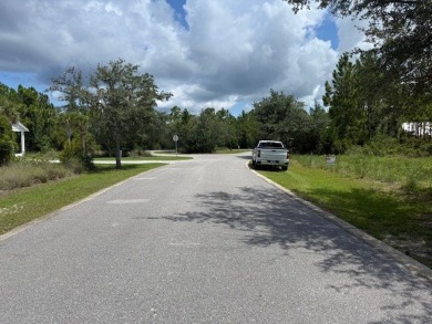 Build your dream home on this shovel ready premium lot in The on Saint Josephs Bay Country Club in Florida - for sale on GolfHomes.com, golf home, golf lot