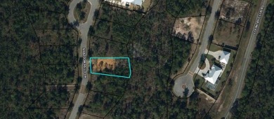 Build your dream home on this shovel ready premium lot in The on Saint Josephs Bay Country Club in Florida - for sale on GolfHomes.com, golf home, golf lot
