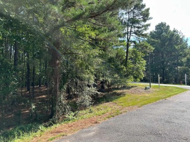 The x-large corner lot is surrounded by the Isabella Golf Course on Isabella Golf Course  in Arkansas - for sale on GolfHomes.com, golf home, golf lot