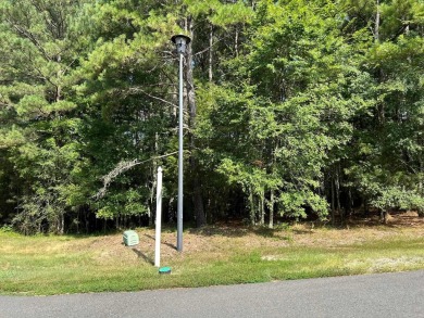 The x-large corner lot is surrounded by the Isabella Golf Course on Isabella Golf Course  in Arkansas - for sale on GolfHomes.com, golf home, golf lot