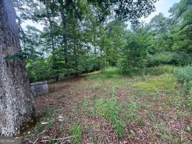 Discover the perfect canvas for your dream home on an ideal 1 on Chatuge Shores Golf Course in North Carolina - for sale on GolfHomes.com, golf home, golf lot
