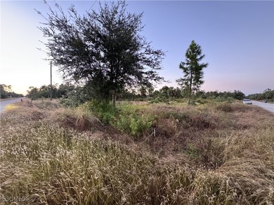 vacant lot in Lehigh Acres. Perfectly located in a quiet on Lehigh Resort Club in Florida - for sale on GolfHomes.com, golf home, golf lot