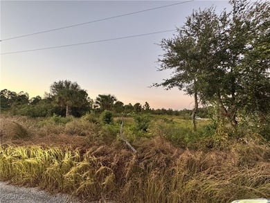 vacant lot in Lehigh Acres. Perfectly located in a quiet on Lehigh Resort Club in Florida - for sale on GolfHomes.com, golf home, golf lot