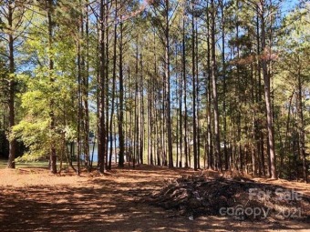 Large 1.7 AC, Level Waterfont Lot on Lake Tillery for sale on GolfHomes.com