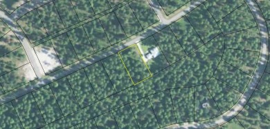 This 0.73 acre lot is surrounded by natural beauty of Coastal Ga on Sapelo Hammock Golf Club in Georgia - for sale on GolfHomes.com, golf home, golf lot