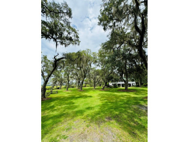 This 0.73 acre lot is surrounded by natural beauty of Coastal Ga on Sapelo Hammock Golf Club in Georgia - for sale on GolfHomes.com, golf home, golf lot