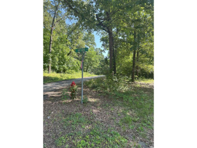 If you are looking for a smaller house with a big big yard on a on Cherokee Village North Course in Arkansas - for sale on GolfHomes.com, golf home, golf lot