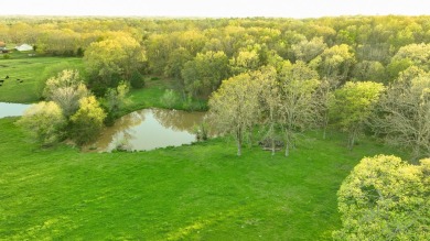 Wake Lane is located just outside of town in Willow Springs on Willow Springs Municipal Golf Course in Missouri - for sale on GolfHomes.com, golf home, golf lot