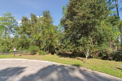 This stunning 2.2-acre waterfront/marsh-front estate lot is the on The Palencia Club in Florida - for sale on GolfHomes.com, golf home, golf lot
