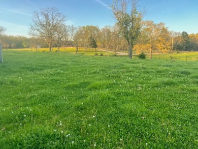 Wake Lane is located just outside of town in Willow Springs on Willow Springs Municipal Golf Course in Missouri - for sale on GolfHomes.com, golf home, golf lot