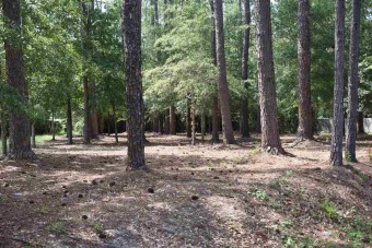 Very nice, cleared of brush, residential lot on Brannen Road on Willow Lake Golf Club in Georgia - for sale on GolfHomes.com, golf home, golf lot