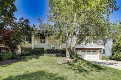 Welcome home to this inviting raised ranch, offering the perfect on Buffalo Grove Golf Club in Illinois - for sale on GolfHomes.com, golf home, golf lot