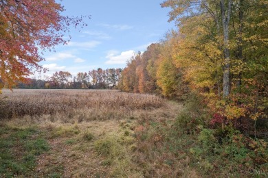 Developers, Investors, Farmers & Land Lovers- take a look at on Friendly Meadows Golf Course in Ohio - for sale on GolfHomes.com, golf home, golf lot