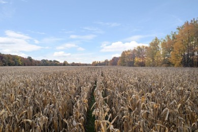 Developers, Investors, Farmers & Land Lovers- take a look at on Friendly Meadows Golf Course in Ohio - for sale on GolfHomes.com, golf home, golf lot