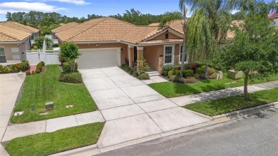 Hope you brought your 8 iron! Welcome to 3451 Luna Bella Lane, a on Venetian Bay Golf Course in Florida - for sale on GolfHomes.com, golf home, golf lot