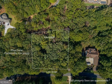Build your dream home in the prestigious Orchard Golf & Country on The Orchard Golf and Country Club in Georgia - for sale on GolfHomes.com, golf home, golf lot