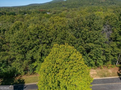 Build your dream home in the prestigious Orchard Golf & Country on The Orchard Golf and Country Club in Georgia - for sale on GolfHomes.com, golf home, golf lot