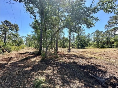 RARE OPPORTUNITY TRIPLE LOT(2 SEPARATE PARCELS 0.7 ACRES) in on Sabal Trace Golf and Country Club in Florida - for sale on GolfHomes.com, golf home, golf lot