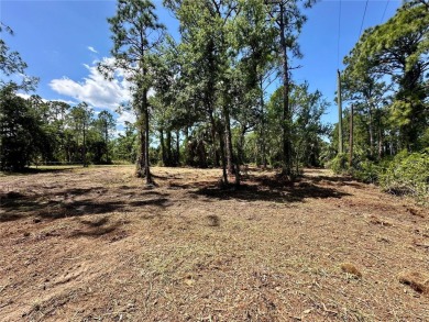 RARE OPPORTUNITY TRIPLE LOT(2 SEPARATE PARCELS 0.7 ACRES) in on Sabal Trace Golf and Country Club in Florida - for sale on GolfHomes.com, golf home, golf lot