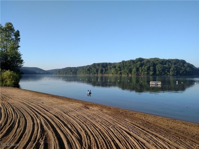 This spectacular Lake View Cabin is located in the Heart of on Pleasant Hill Golf Course in Ohio - for sale on GolfHomes.com, golf home, golf lot