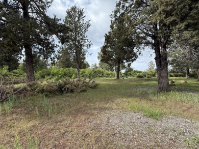 Gorgeous south facing panoramic mountain views from this 0.78 on Running Y Ranch Resort in Oregon - for sale on GolfHomes.com, golf home, golf lot
