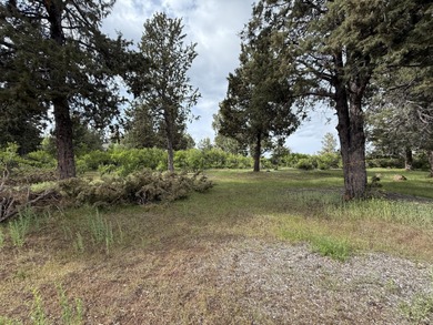 Gorgeous south facing panoramic mountain views from this 0.78 on Running Y Ranch Resort in Oregon - for sale on GolfHomes.com, golf home, golf lot