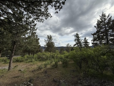 Gorgeous south facing panoramic mountain views from this 0.78 on Running Y Ranch Resort in Oregon - for sale on GolfHomes.com, golf home, golf lot