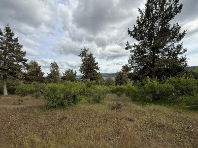 Gorgeous south facing panoramic mountain views from this 0.78 on Running Y Ranch Resort in Oregon - for sale on GolfHomes.com, golf home, golf lot
