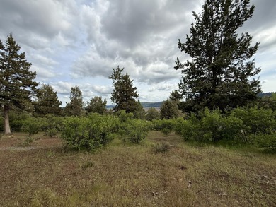 Gorgeous south facing panoramic mountain views from this 0.78 on Running Y Ranch Resort in Oregon - for sale on GolfHomes.com, golf home, golf lot