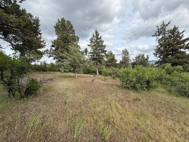 Gorgeous south facing panoramic mountain views from this 0.78 on Running Y Ranch Resort in Oregon - for sale on GolfHomes.com, golf home, golf lot
